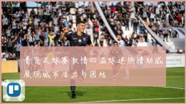 青岛足球赛激情四溢球迷热情助威展现城市活力与团结
